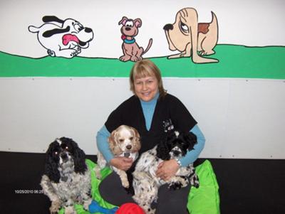 Sandi with Domino, Houston and Checkers at Silver Paws Dog Daycare & Training in Spruce Grove, Alberta, Canada