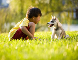 boy and husky